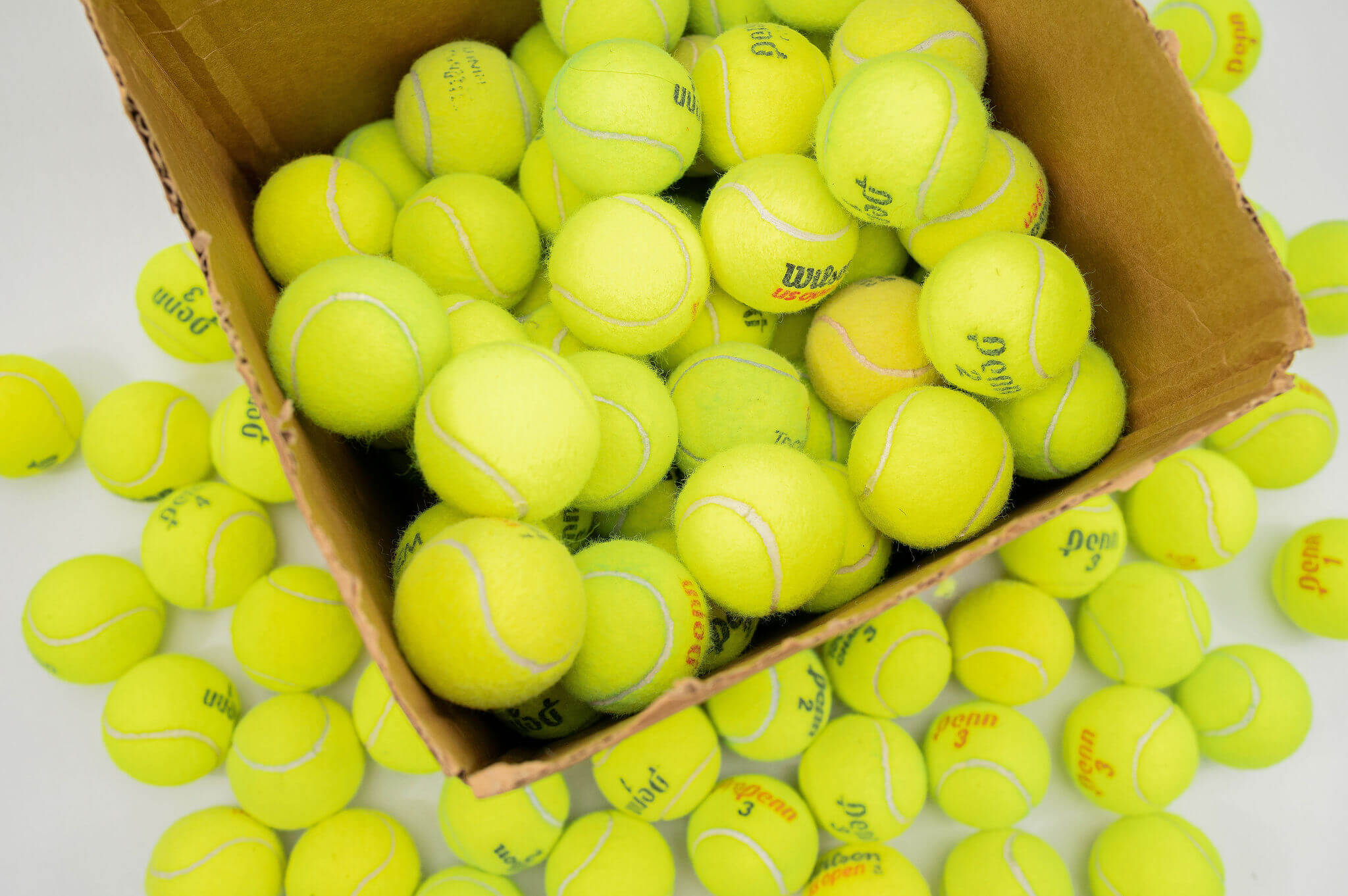 'Bottle of 'BADA BING! BADA BEEF!' beef sprinkles for dogs with label featuring cartoon dogs.'