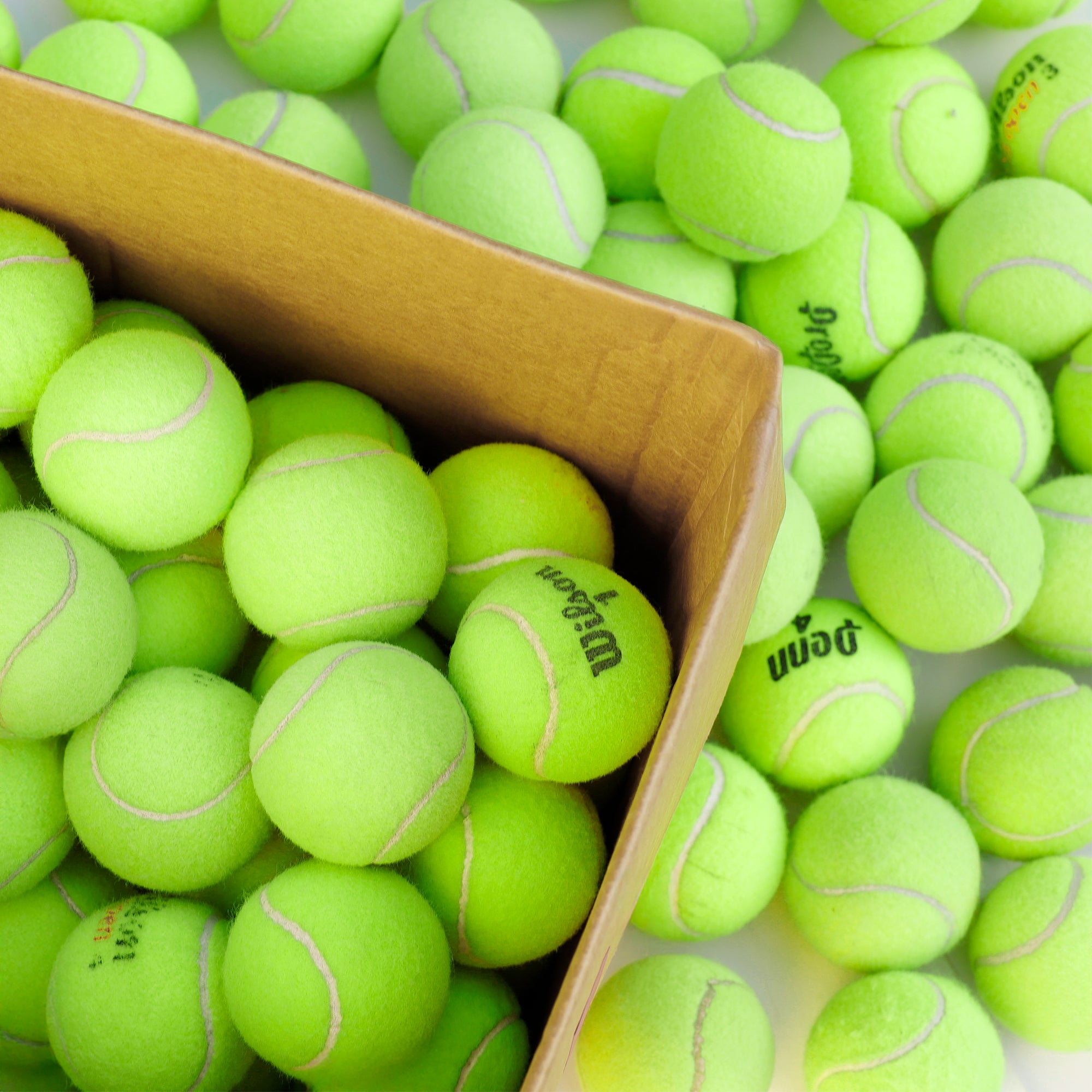 100 Tennis Balls For Dogs