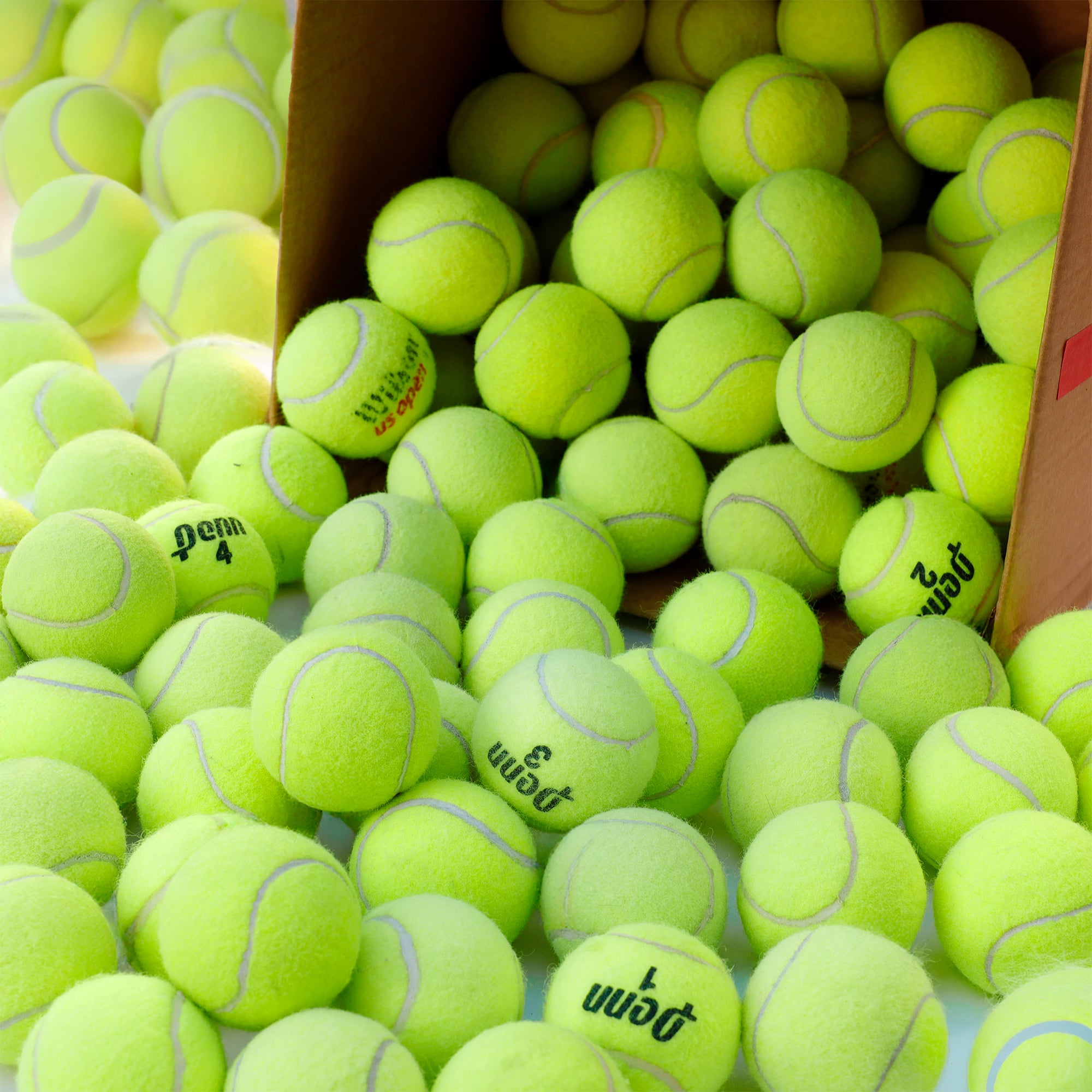 100 Tennis Balls For Dogs