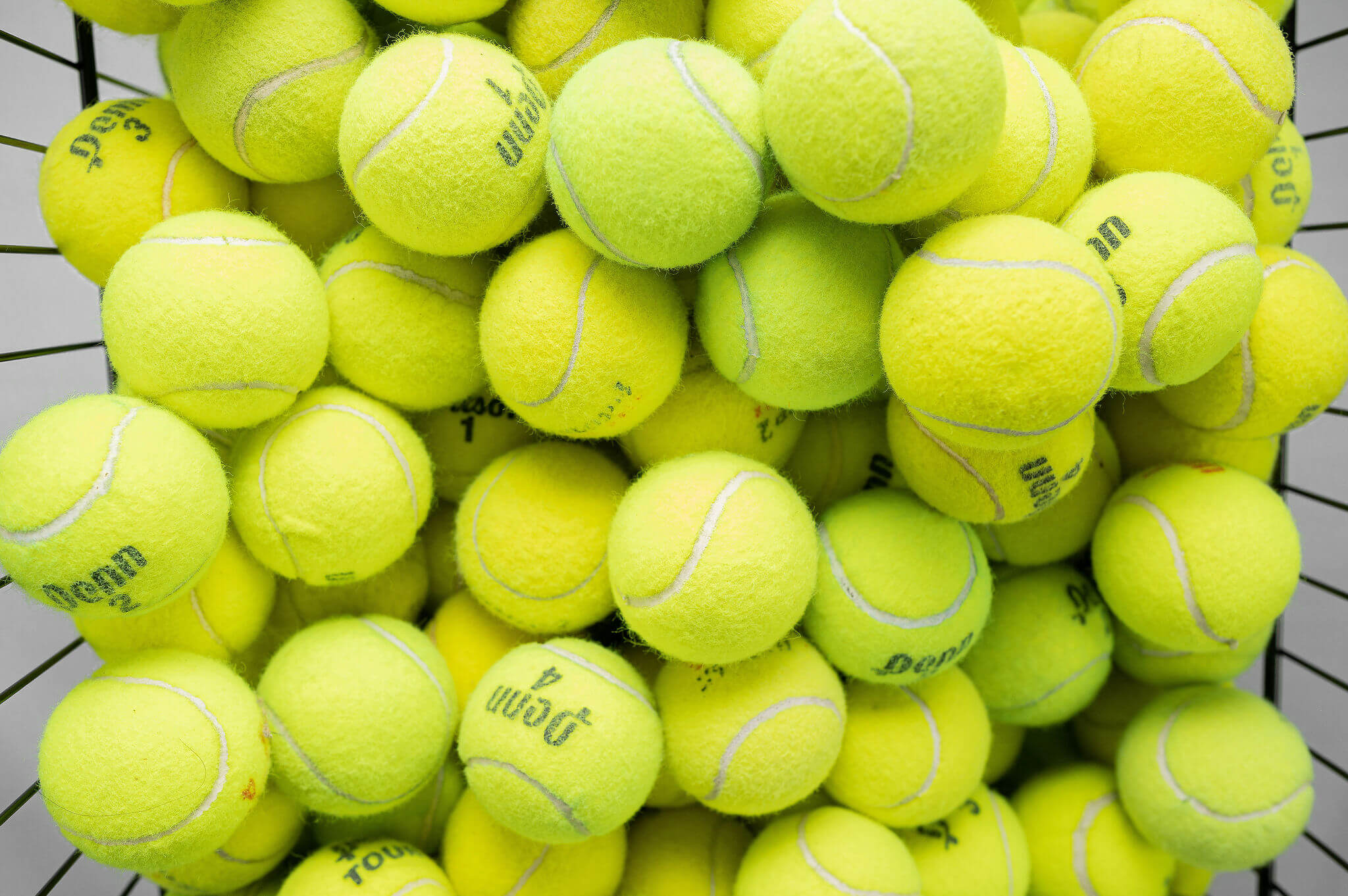 100 Tennis Balls For Dogs