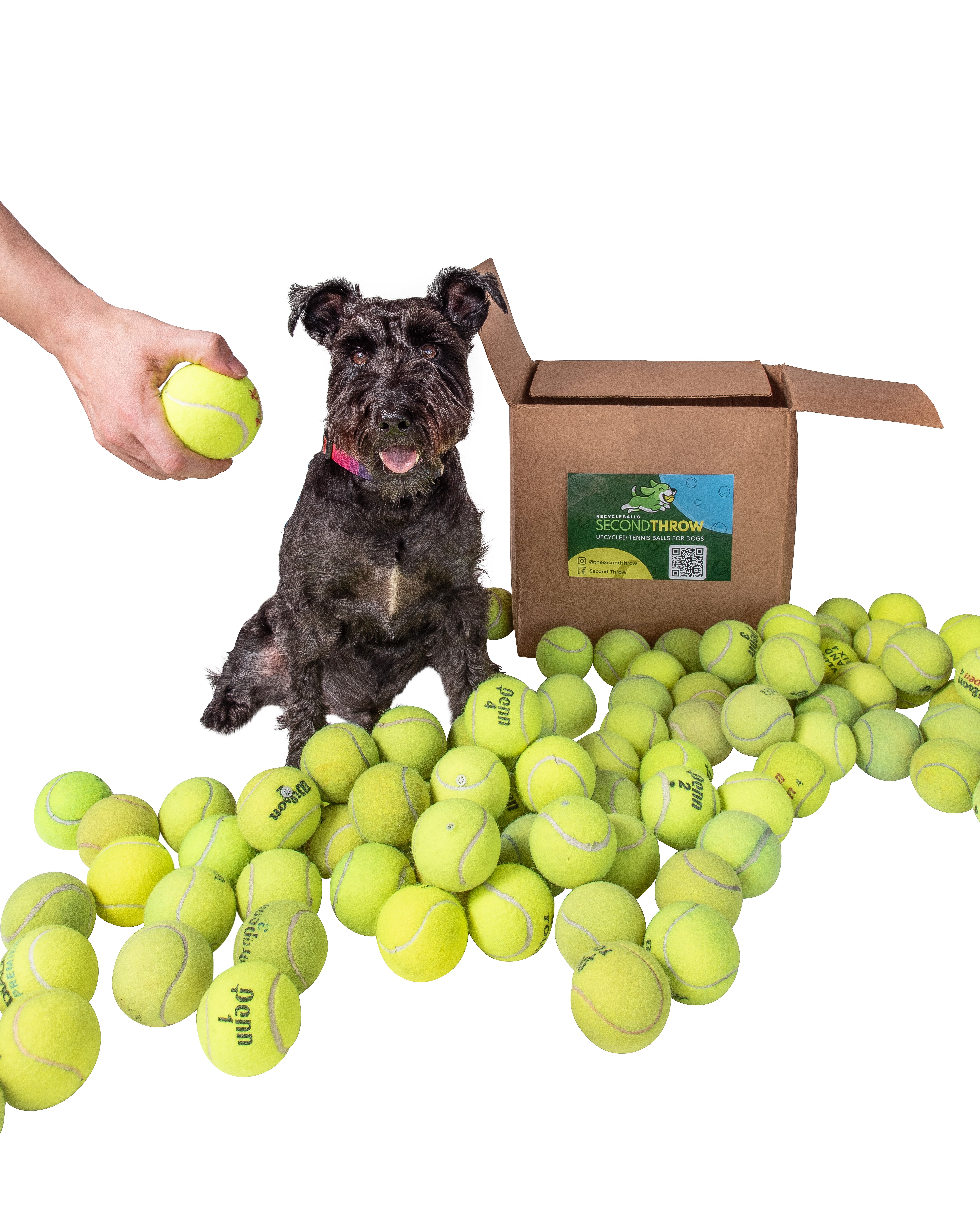 100 Tennis Balls For Dogs